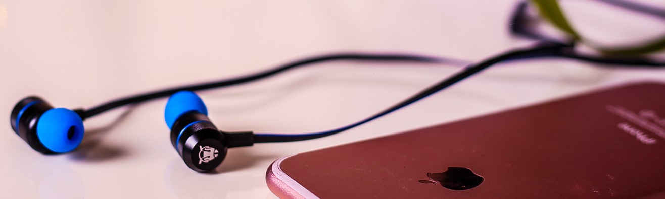 Best earphone under 500. Ant Audio earphone 