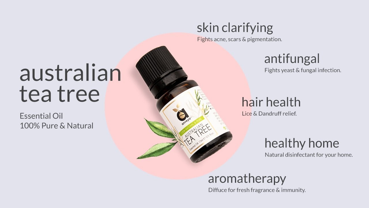 Anveya Tea tree oil | Best Tea Tree Oil