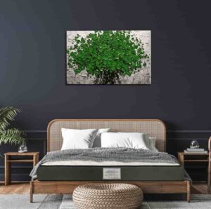 Dreamzee Vilasa™ - Globally Certified 100% Natural Latex Monozone | Best Latex Mattress in India